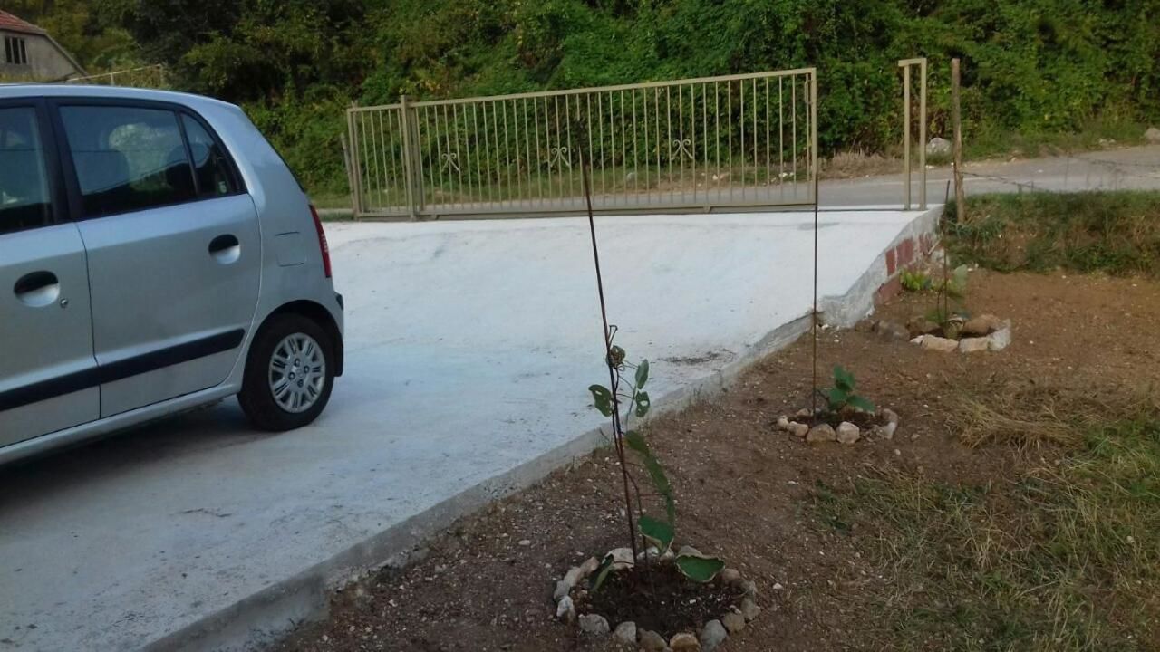 Дома для отпуска Weekendhouse A&A Вирпазар-18